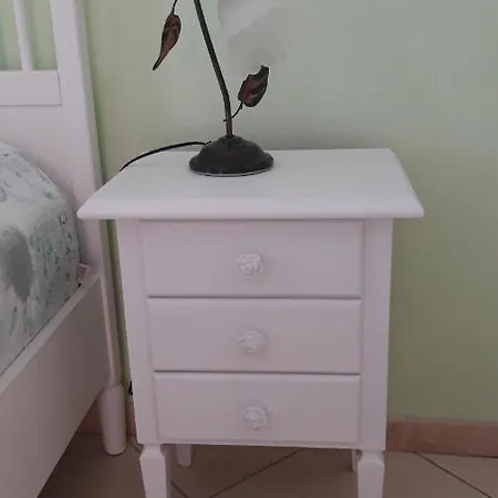 Coccinelle